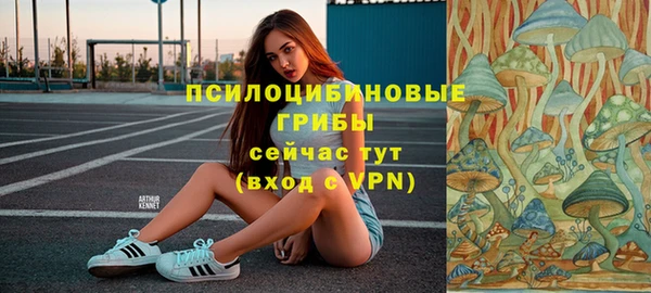 крисы Беломорск